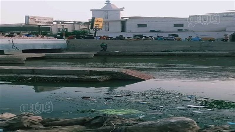 ارشيفية