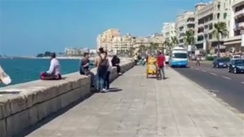 الاسكندريه