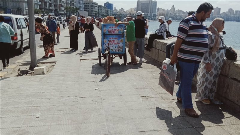 حالة الطقس بالاسكندريه