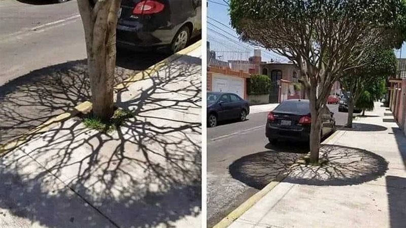 ظاهرة طبيعية 
