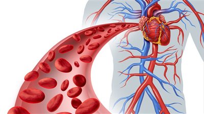 أعراض هبوط الدورة الدموية.. والأسباب وطرق العلاج بالأطعمة