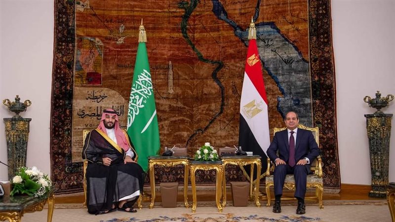 الرئيس السيسي وولي