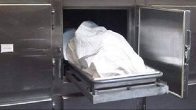 مصرع شخص وإصابة 2 آخرين في انقلاب سيارة بالوادي الجديد