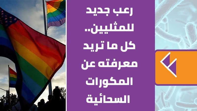 المكورات السحائية