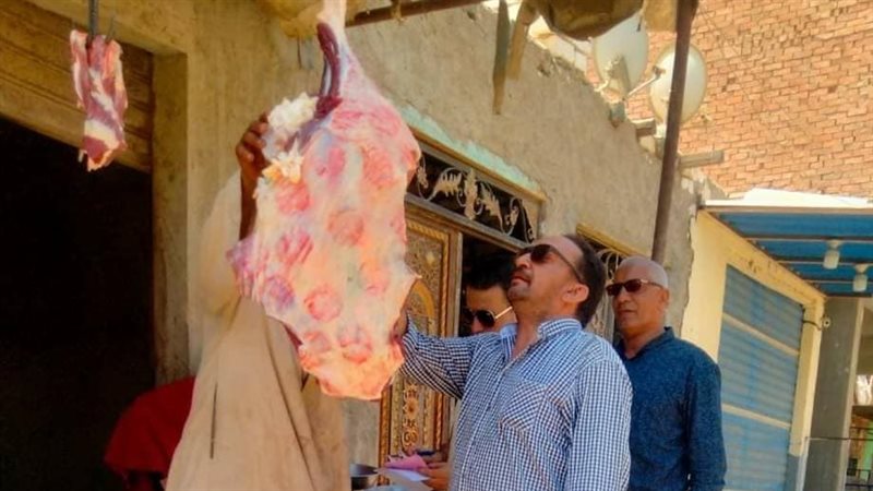 جانب من الجملة