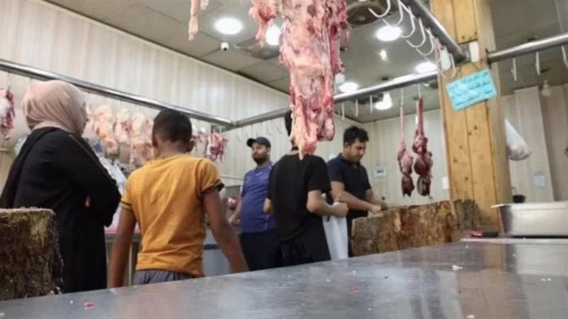  الحمي النزفيه تضرب
