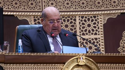 رئيس الشيوخ يوجه التحية لوزيرة الهجرة السابقة، وسها جندي: نبيلة مكرم تستحق الإشادة 