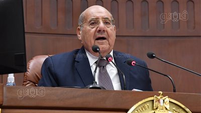 رئيس مجلس الشيوخ: نجاحات مصر لا ينكرها إلا أعداء الوطن
