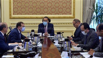 الجريدة الرسمية تنشر قرار تحديد سعر بيع الغاز الطبيعي لتوليد الكهرباء بـ 3 دولارات
