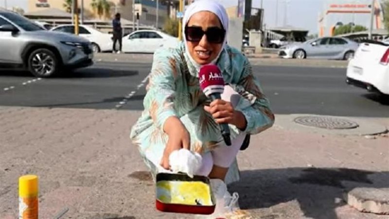مندوبة النهار أثناء