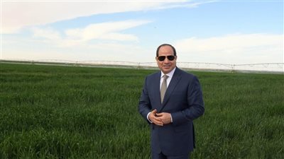 عبد الصادق الشوربجي: ثورة 30 يونيو كشفت معدنا أصيلا لمن حمل الروح فداء للوطن
