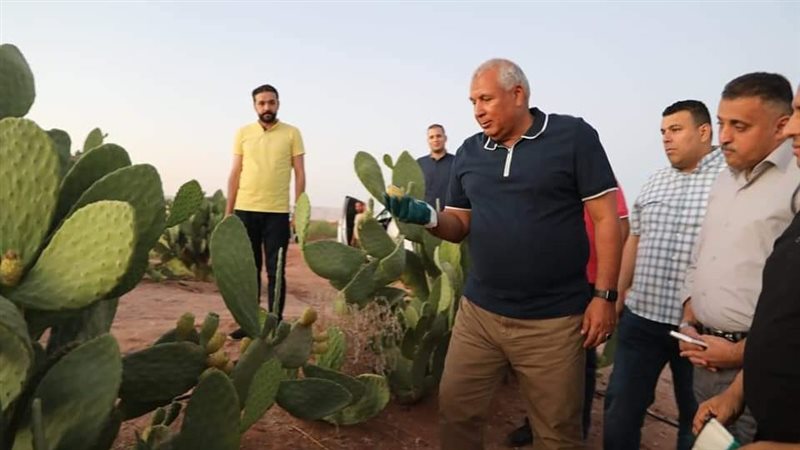 محافظ الوادي الجديد