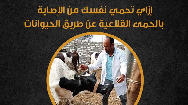 الحمى القلاعية 