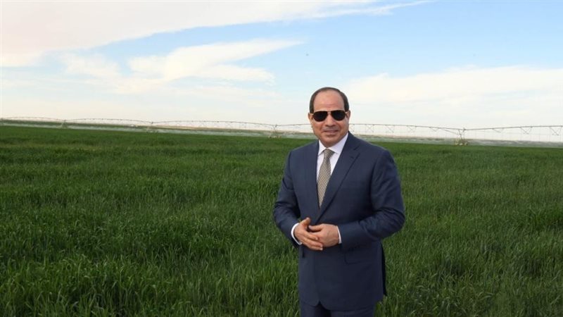 الرئيس عبد الفتاح