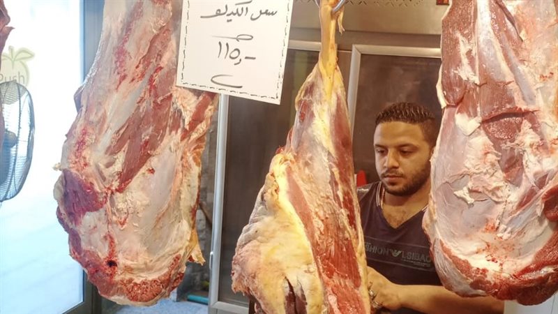 تموين الإسكندرية
