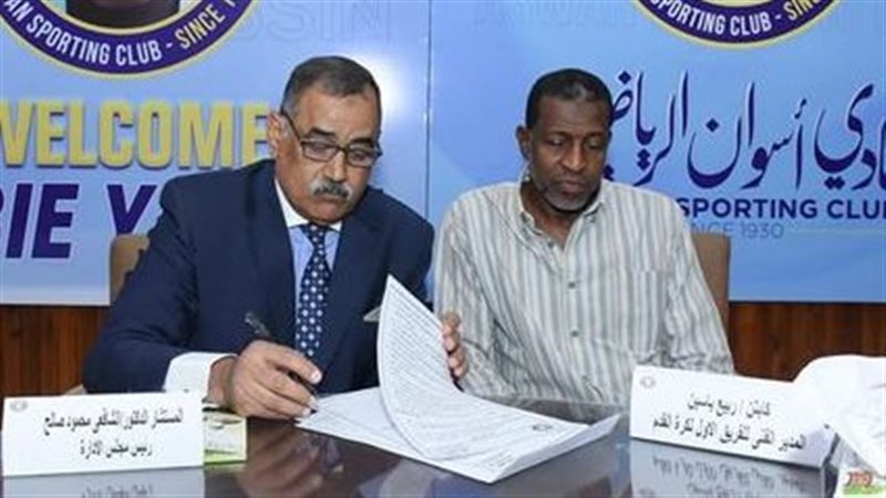 ربيع ياسين