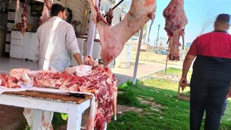 جانب من المضبوطات
