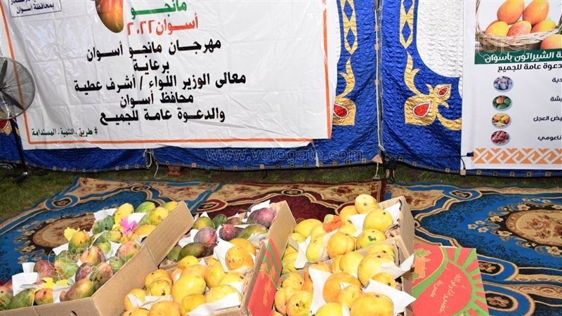 مهرجان مانجو أسوان