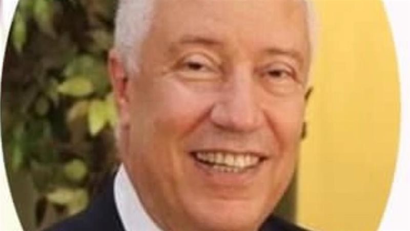 المستشار محمد بكر