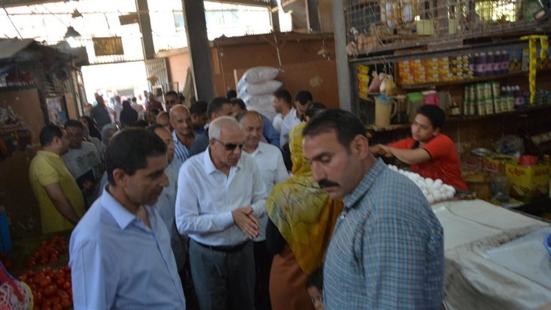 محافظ الجيزة يتفقد