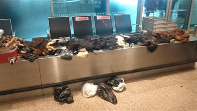 txt