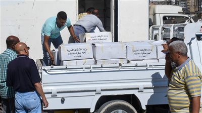 محافظة الإسكندرية: توزيع 4 أطنان لحوم على 4 آلاف أسرة 