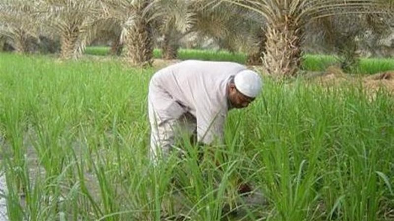 خطوات استخراج بدل