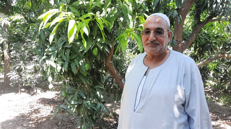 جلال الطاهر سكرتير