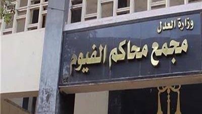 المشدد 6 سنوات لكهربائي بتهمة تعذيب ابنته حتى الموت في الفيوم 