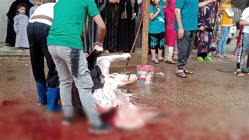 الذبح خارج المجازر