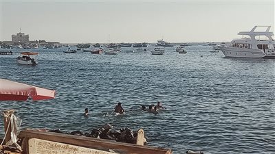 حالة الطقس غدا الاثنين ١١- ٧- ٢٠٢٢ فى الإسكندرية 