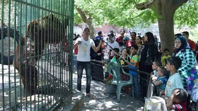 ٨ آلاف زائر بحديقة حيوان الإسكندرية فى ثانى أيام عيد الأضحى 