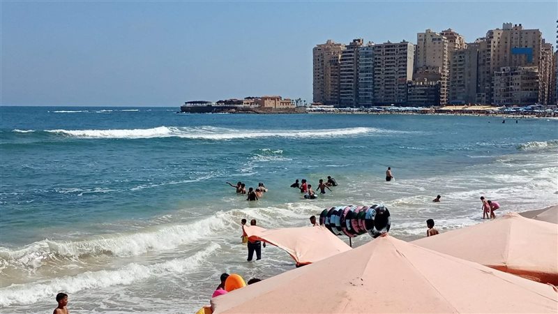 الاسكندريه 
