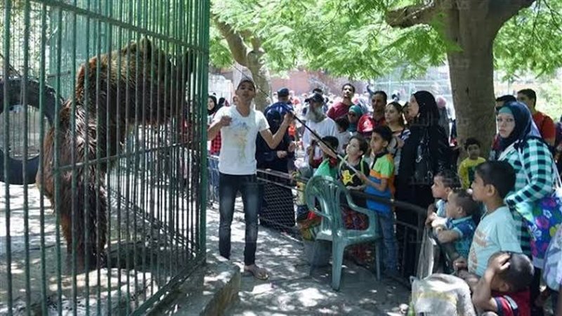 حديقة حيوان الإسكندرية
