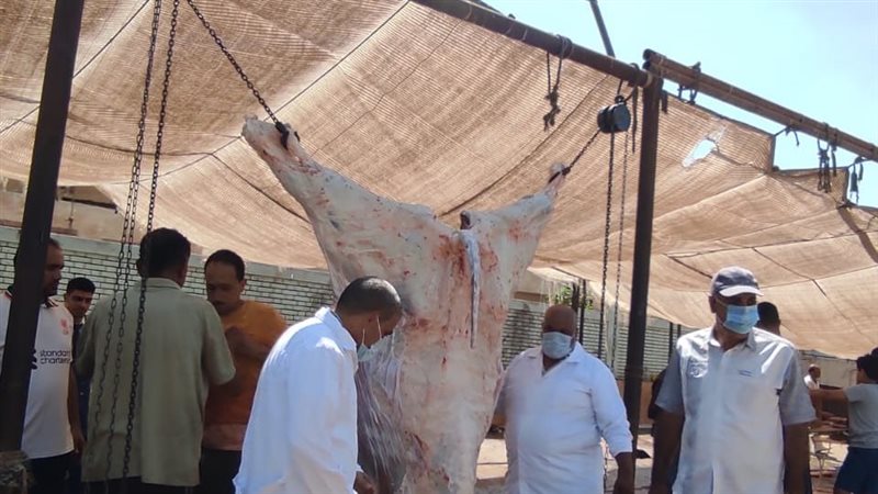 حملات في المجازر