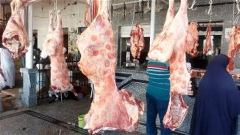 اسعار اللحوم فى الدقهلية