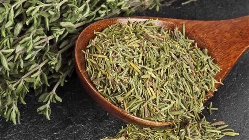 تفسير رؤية الزعتر