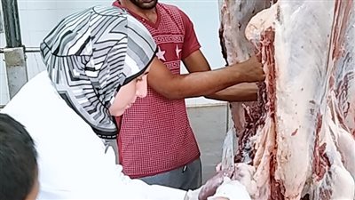 الزراعة تصدر نشرة عن جهود مديريات الطب البيطري خلال الأسبوع الماضي