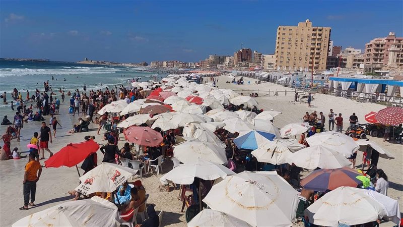 شواطئ الإسكندرية