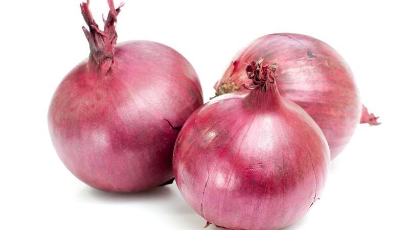 فوائد البصل الأحمر