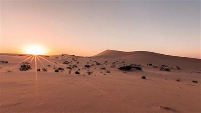 الزراعة وأكساد تطلقان مشروع تثبيت الكثبان الرملية في سيوة