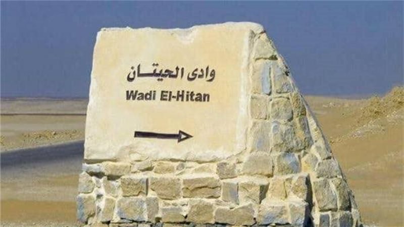 وادي الحيتان بالفيوم