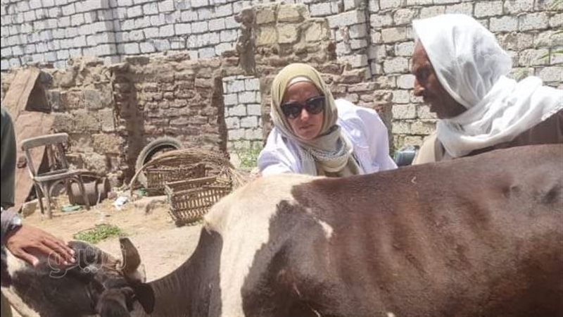 جانب من مشاركات إحدى