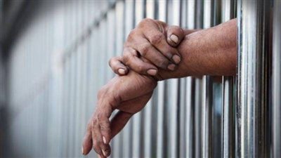 حبس عاطلين لحيازتهما 350 طربة حشيش بالبحيرة