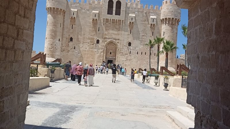 الاسكندريه 