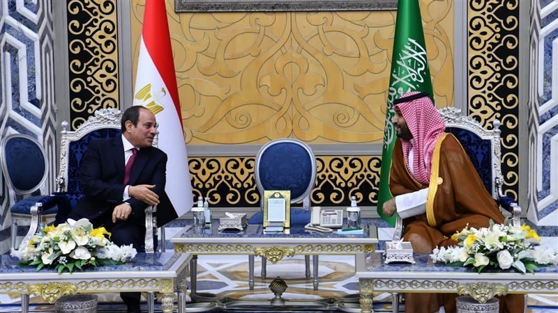 الرئيس السيسى وولى