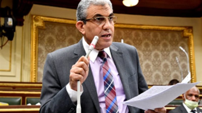النائب عادل عبدالفضيل