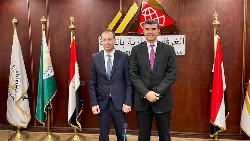 المستشار التجاري