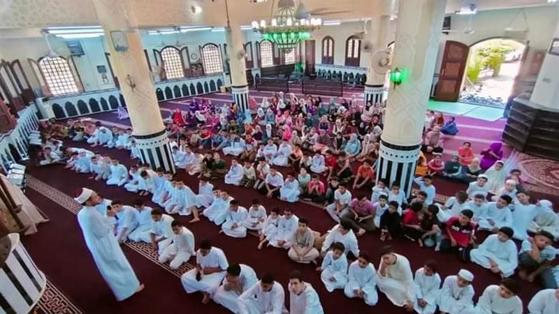 البرنامج الصيفي 