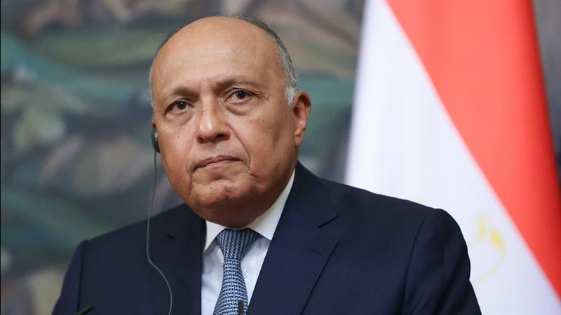 سامح شكري وزير الخارجية